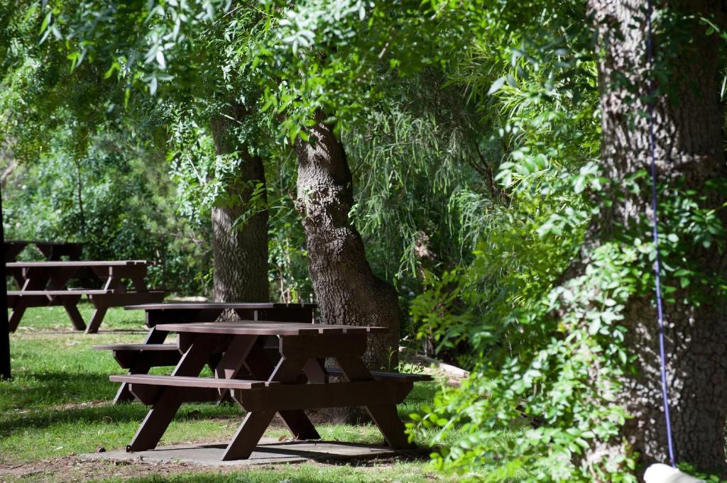 Hotel Adelaide Brownhill Creek Tourist Park Extérieur photo