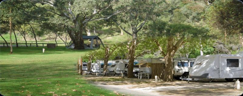 Hotel Adelaide Brownhill Creek Tourist Park Extérieur photo